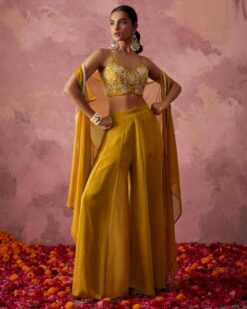 Indo Western Style Georgette With Fancy Work Haldi Special Wear