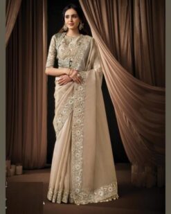 FB365 Wedding Wear Saree with Embroidery and Sequence Work